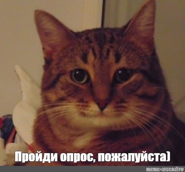Ребят, кто нанимал когда нибудь людей в команду, помогите плиз, пройдите опросник, там всего 6 вопросов по времени 2 минуты займет, но вы очень поможете нам научиться говорить на языке клиента, а не нашими галлюцинациями))